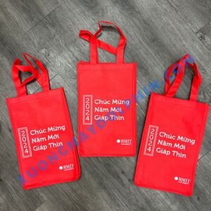 túi vải không dệt tết remix